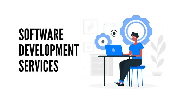 Software Development Services in India: How to Choose an End-to-End IT Partner